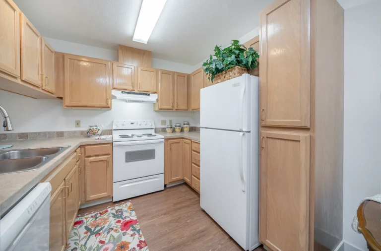 Independent Living Kitchen