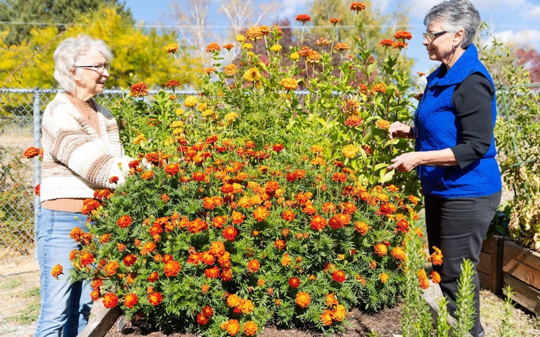 A Retirement Community Designed for Every Chapter of Life